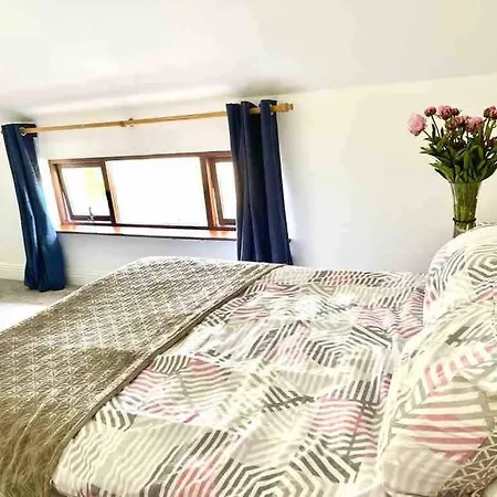 Fionas Thatched Eile Tatil Evi Killarney