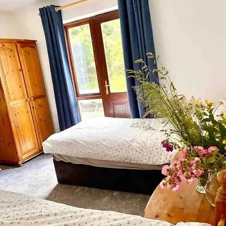 Fionas Thatched Eile Tatil Evi Killarney