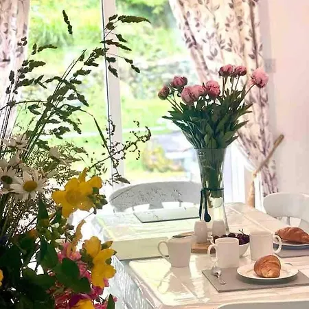 Tatil Evi Fionas Thatched Eile Killarney