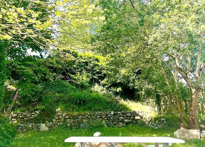 Fionas Thatched Eile 킬라니