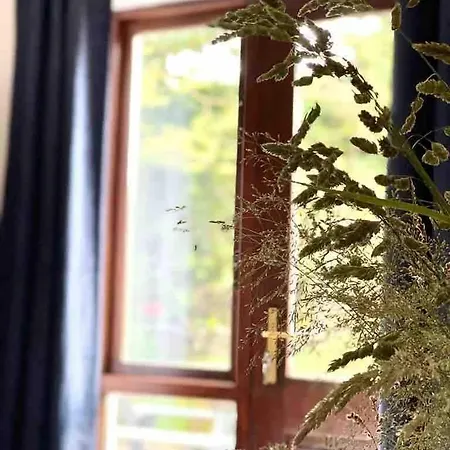 Fionas Thatched Eile Cill Airne