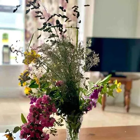 Fionas Thatched Eile * Cill Airne