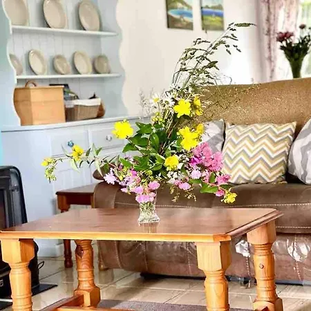 Fionas Thatched Eile Semesterbostad Cill Airne