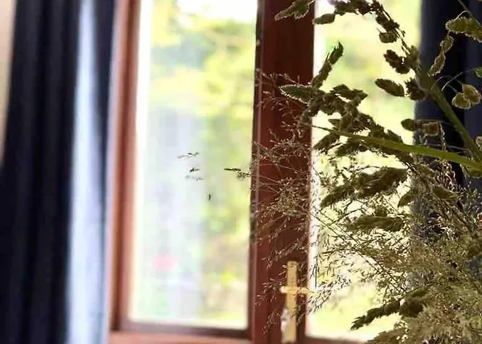 Fionas Thatched Eile Killarney